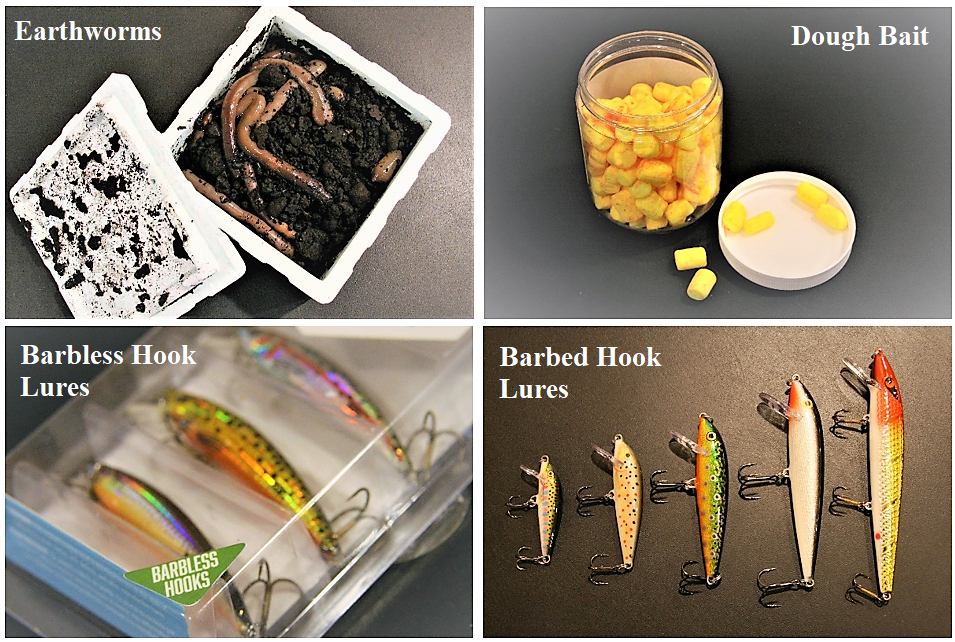 Four separate images of bait & tackle options – worms, dough bait, barbless hook lures, and a set of barbed hook lures